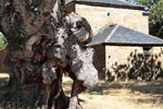 Гостевой дом Posada Real La Carteria Гостевой дом Posada Real La Carteria