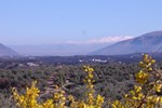 Отель Rural La Paloma Отель Rural La Paloma