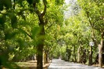 Мини-отель Hotel Villa Oriana Relais Мини-отель Hotel Villa Oriana Relais