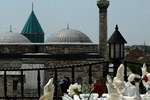 Отель Rumi Отель Rumi