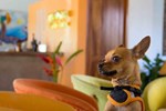 Отель Best Western Posada Chahué Отель Best Western Posada Chahué