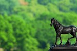 Отель Ritz-Carlton New York Central Park Отель Ritz-Carlton New York Central Park