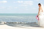 Отель Cheeca Lodge & Spa Отель Cheeca Lodge & Spa