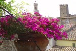 Отель Albergo Etruria Отель Albergo Etruria