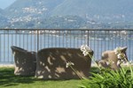 Отель Hotel Brisino Отель Hotel Brisino