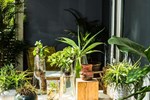 Гостевой дом The Concierge Boutique Bungalows Гостевой дом The Concierge Boutique Bungalows