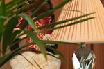 Гостиница Jumbaktas Hotel Гостиница Jumbaktas Hotel