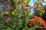 Гостевой дом Windermere Suites Гостевой дом Windermere Suites