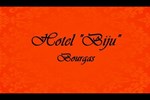 Отель Hotel Biju Отель Hotel Biju