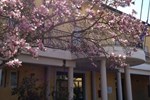 Отель Hotel Villaggio Della Mercede Отель Hotel Villaggio Della Mercede