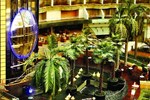 Отель Sahara Star Hotel Отель Sahara Star Hotel