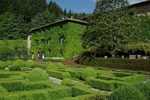 Отель Badia a Coltibuono Отель Badia a Coltibuono