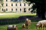 Отель Chateau Mcely Отель Chateau Mcely