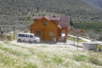 Апартаменты Natureland Efes Pension Апартаменты Natureland Efes Pension