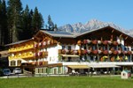 Отель Hotel Alpenpanorama Отель Hotel Alpenpanorama