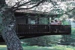 Отель Macdonald Aviemore Highland Hotel Отель Macdonald Aviemore Highland Hotel