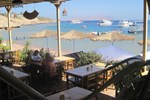 Отель Sharks Bay Umbi Diving Village Отель Sharks Bay Umbi Diving Village