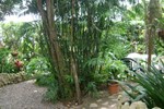 Отель Hotel Jardines De Monte Verde Отель Hotel Jardines De Monte Verde