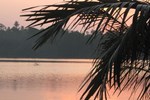 Отель Mangrove Villa - Bentota River Отель Mangrove Villa - Bentota River