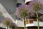 Отель Hotel Pollinger Отель Hotel Pollinger