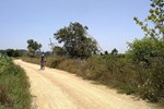 Гостевой дом Quinta da Vila Francelina Гостевой дом Quinta da Vila Francelina