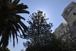 Отель Hotel Miramare Отель Hotel Miramare