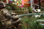 Хостел Urban Buddha Hostel Хостел Urban Buddha Hostel