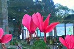 Отель Philoxenia Отель Philoxenia