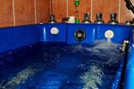 Гостиница Санаторий Грушевая Роща Гостиница Санаторий Грушевая Роща