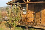 Гостевой дом Salkım Konak ve Agac Evler Гостевой дом Salkım Konak ve Agac Evler