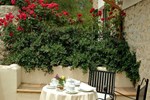 Отель Finca Hotel Son Palou Отель Finca Hotel Son Palou