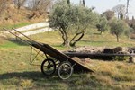 Отель Dalla Rosa Alda Отель Dalla Rosa Alda