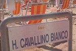 Отель Hotel Cavallino Bianco Отель Hotel Cavallino Bianco