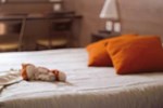 Отель Ace Hotel Отель Ace Hotel