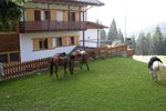Отель Hotel Piccolo Pocol Отель Hotel Piccolo Pocol