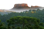 Отель Surya Pan The Wellness Hotel Отель Surya Pan The Wellness Hotel