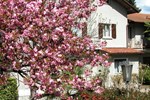 Отель Du Parc Dipendenza Отель Du Parc Dipendenza