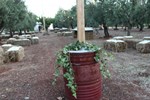 Отель Agriturismo Masseria Casamassima Отель Agriturismo Masseria Casamassima