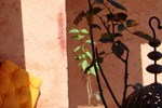 Отель Riad Menthe Et Citron Отель Riad Menthe Et Citron