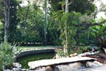 Гостевой дом Pousada Jacarandá Гостевой дом Pousada Jacarandá