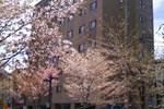 Отель Sapporo Oriental Hotel Отель Sapporo Oriental Hotel
