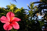Гостевой дом Canto d'Alvorada Hotel Pousada Гостевой дом Canto d'Alvorada Hotel Pousada