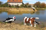 Отель Swallows Rest Отель Swallows Rest