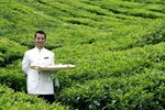 Отель Cameron Highlands Resort Отель Cameron Highlands Resort