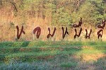 Отель Hommuenlee Hill Resort Отель Hommuenlee Hill Resort