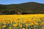 Отель Agriturismo Valborgina Отель Agriturismo Valborgina