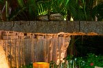 Отель Areca Hotel Отель Areca Hotel