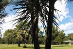 Отель Agricola San Germano Отель Agricola San Germano