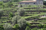Гостевой дом Quinta De Pais - Turismo Rural Гостевой дом Quinta De Pais - Turismo Rural