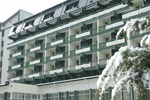 Отель Hotel Bradul Отель Hotel Bradul
